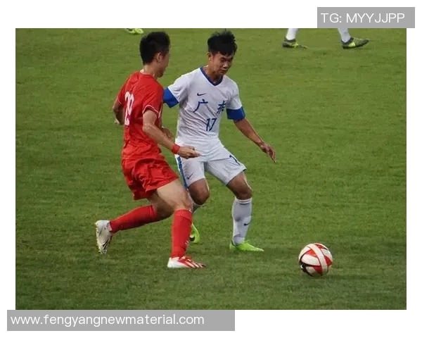 南京足球队现状揭秘：从训练到比赛的全景分析与展望