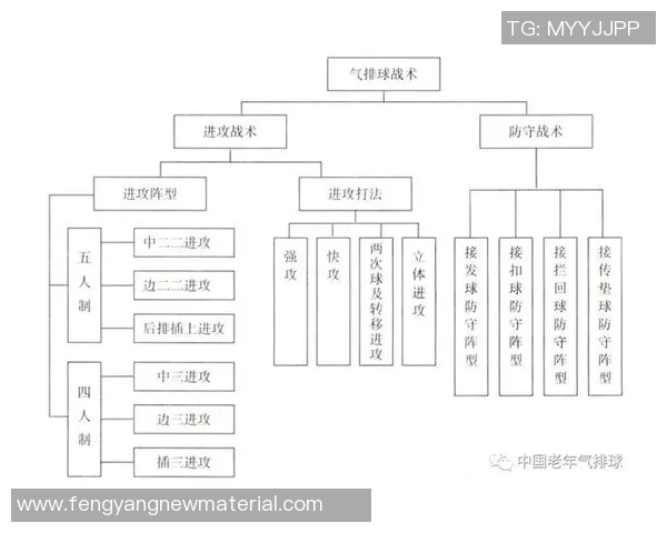 南京排球队在精英赛中的灵活性表现分析与战术探讨