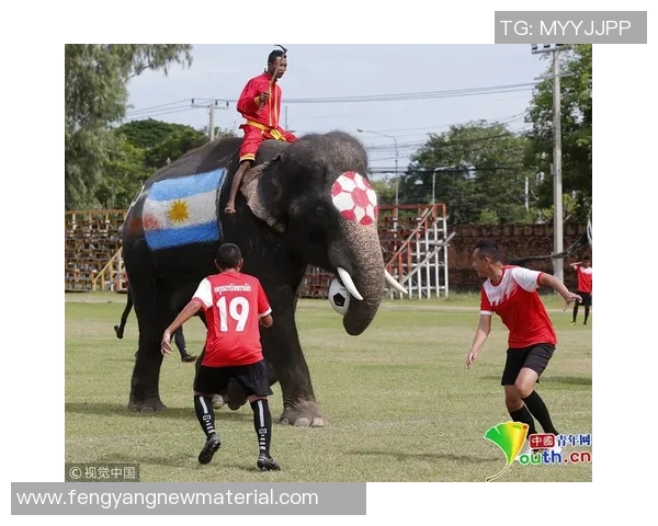 当今足球界的超级巨星们谁能称霸绿茵场引领未来潮流